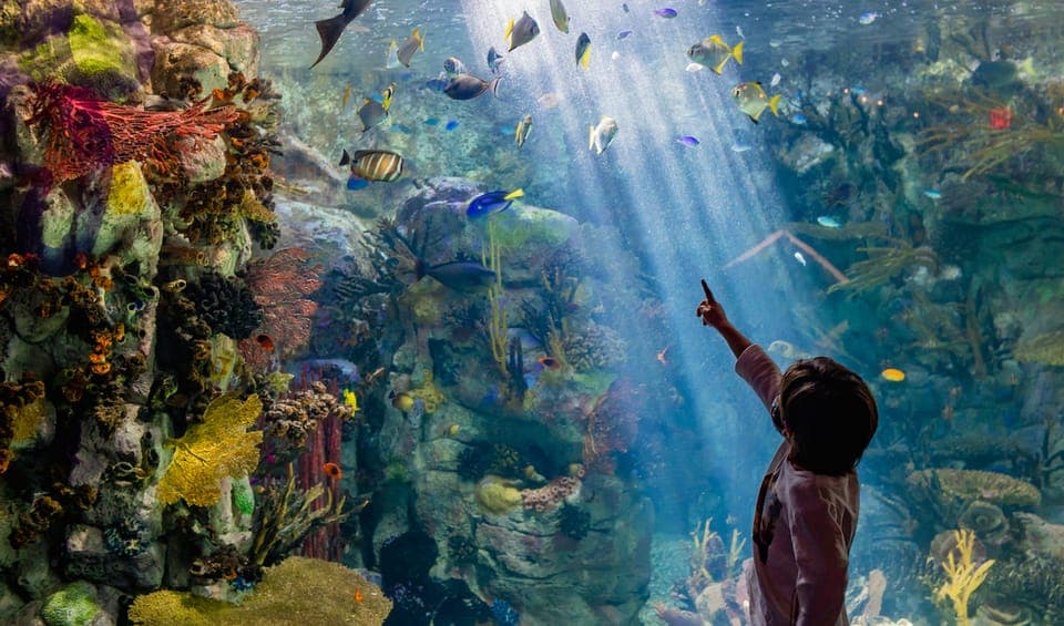 CityPASS® Save up to 46% at Must-See Attractions Gallery Image 3