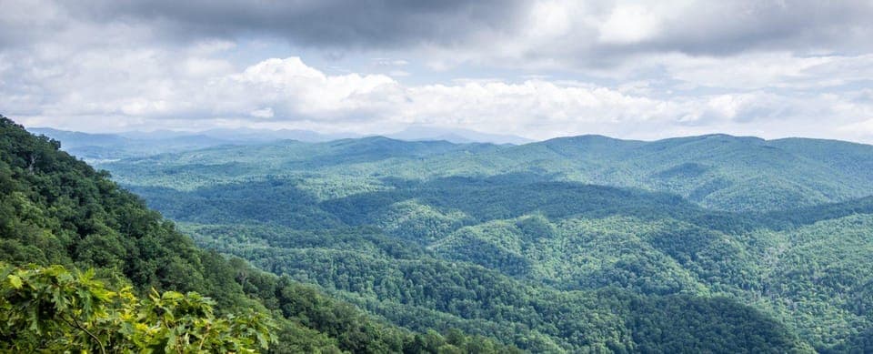 Half-Day Wine Country Tour Gallery Image 2