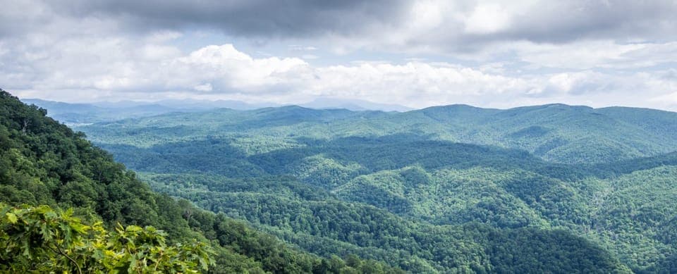 Half-Day Wine Country Tour Gallery Image 2