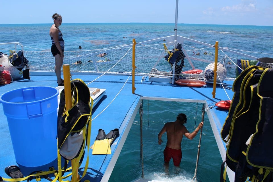 Key West Boat Tour w/ Optional Snorkeling & Open Bar Gallery Image 2