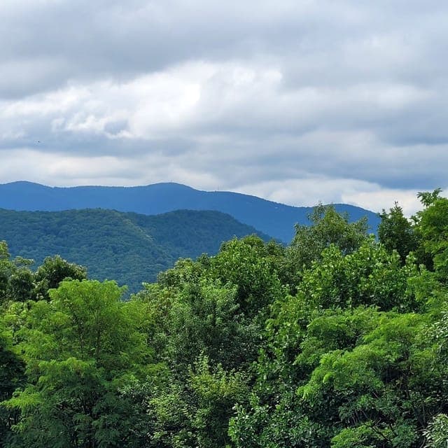 Half-Day or Full-Day Wine Country Tasting Trip Gallery Image 4