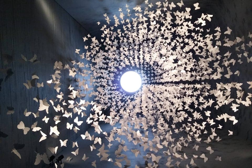 Ticket de entrada Museo Memoria y Tolerancia Gallery Image 4