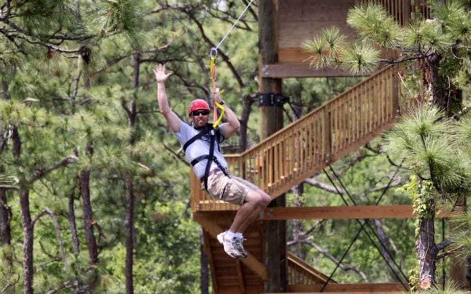 Gatorland Zipline Adventure w/ Full-Day Park Access Gallery Image 4