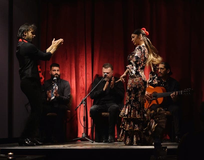 Flamenco Premium Show and Tour Guitar Museum Gallery Image 2