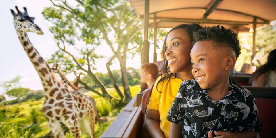 Walt Disney World Tickets with Park Hopper Plus Gallery Image 4