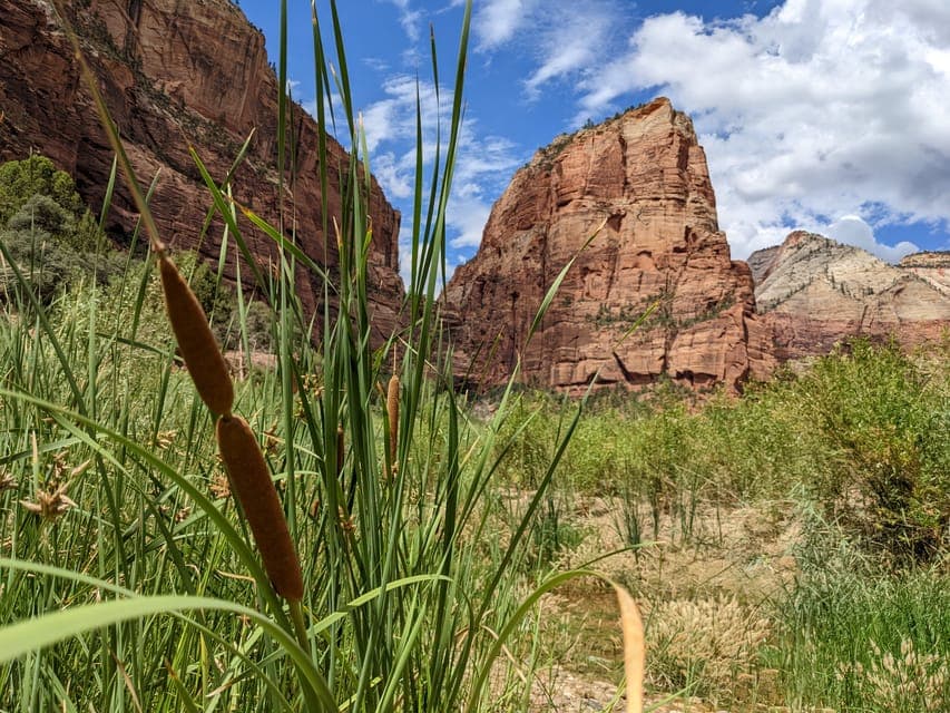 19. Zion National Park Small Group Adventure - Image 19