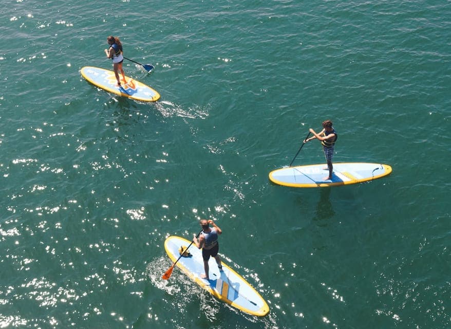 Lady Bird Lake Stand-Up Paddleboard Rental Gallery Image 4