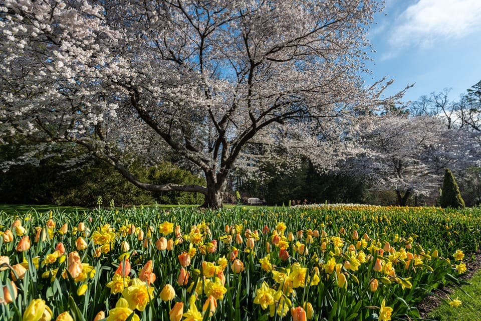 Longwood Gardens Holiday Lights Tour from Philadelphia Gallery Image 4