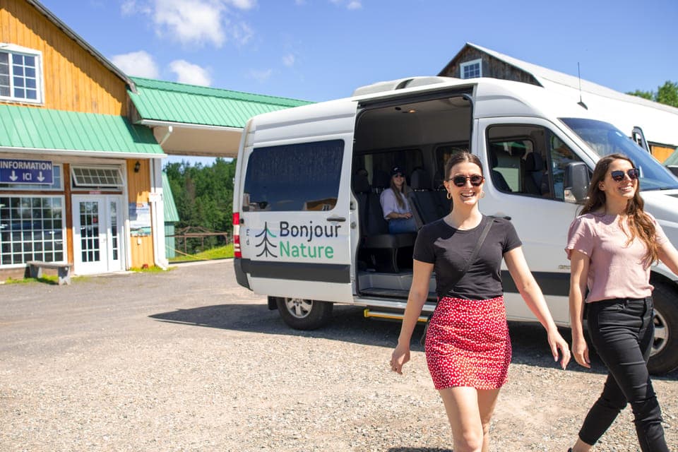 Treetop Trek, Ziplines + beach or waterfall. Gallery Image 3