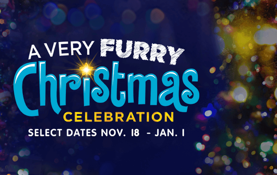 Official Sesame Place Entry Ticket Gallery Image 2