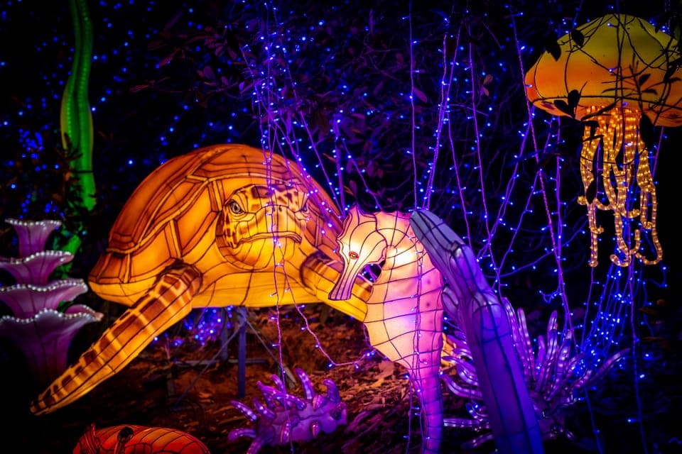 WoW Safari Thoiry Entrance Ticket Gallery Image 3