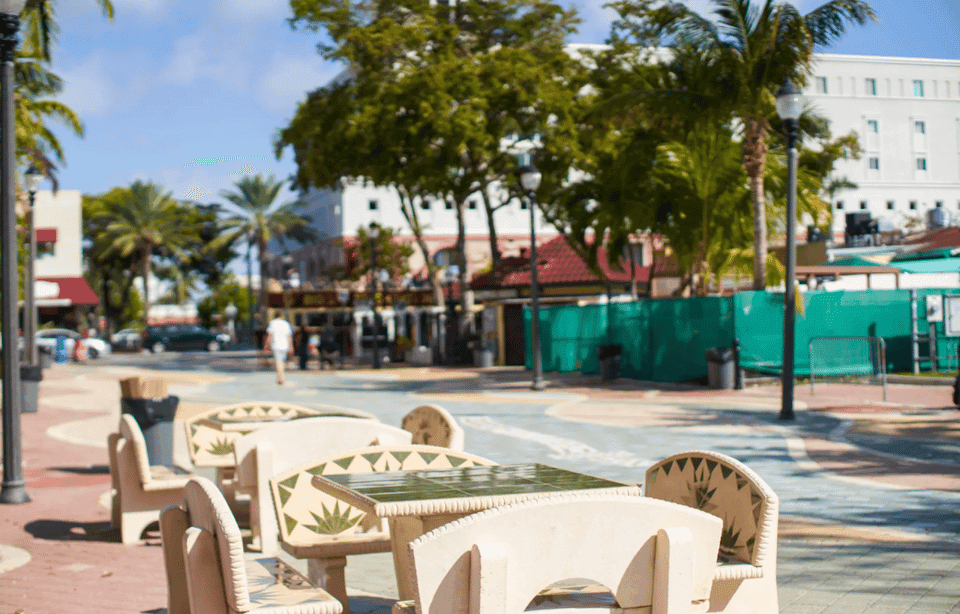 Miami From Fort Lauderdale Premium Driving Tour with Cruise Gallery Image 4