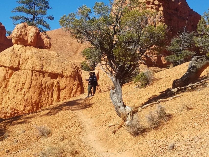 48. Zion and Bryce Canyon Guided Day Tour - Image 48