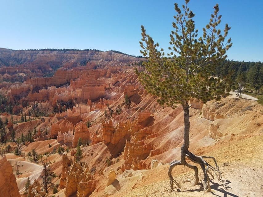 Zion and Bryce Canyon Guided Day Tour Gallery Image 2