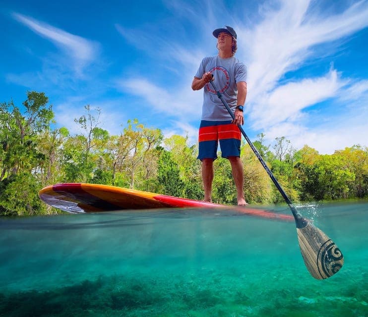 21. Sanford: Guided SUP or Kayak Manatee-Watching Tour - Image 21