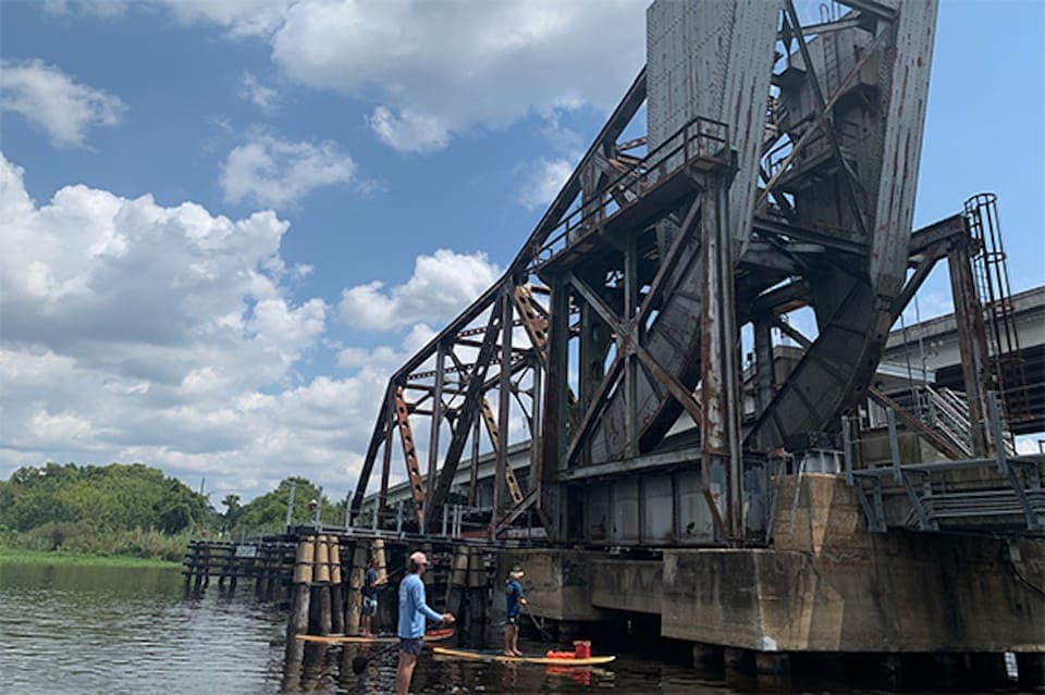 Sanford: Guided SUP or Kayak Manatee-Watching Tour Gallery Image 2