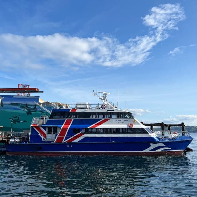 Half-Day Wildlife and Whale Watching Cruise Gallery Image 4