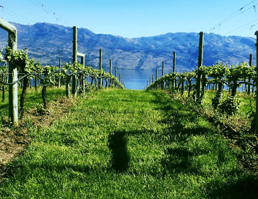 From Toronto: Niagara Wine Tours Gallery Image 3