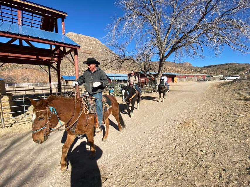 Horseback Ride thru Joshua Tree Forest with Buffalo & Lunch Gallery Image 1