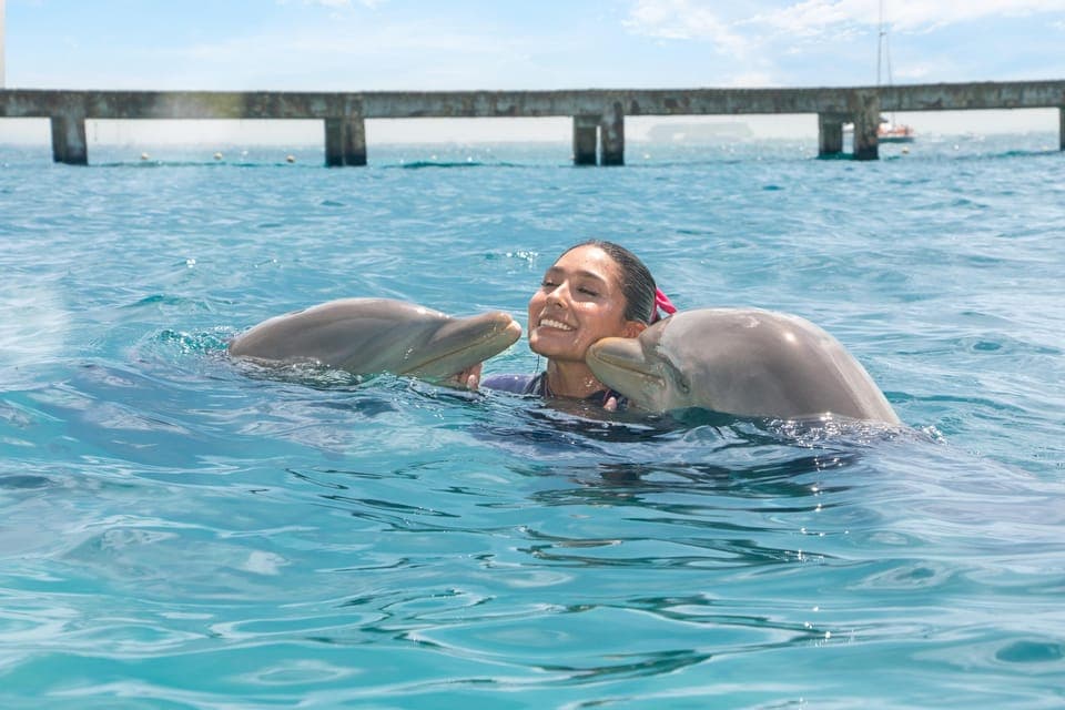Dolphin Swimming Program on Isla Mujeres with Buffet Gallery Image 2