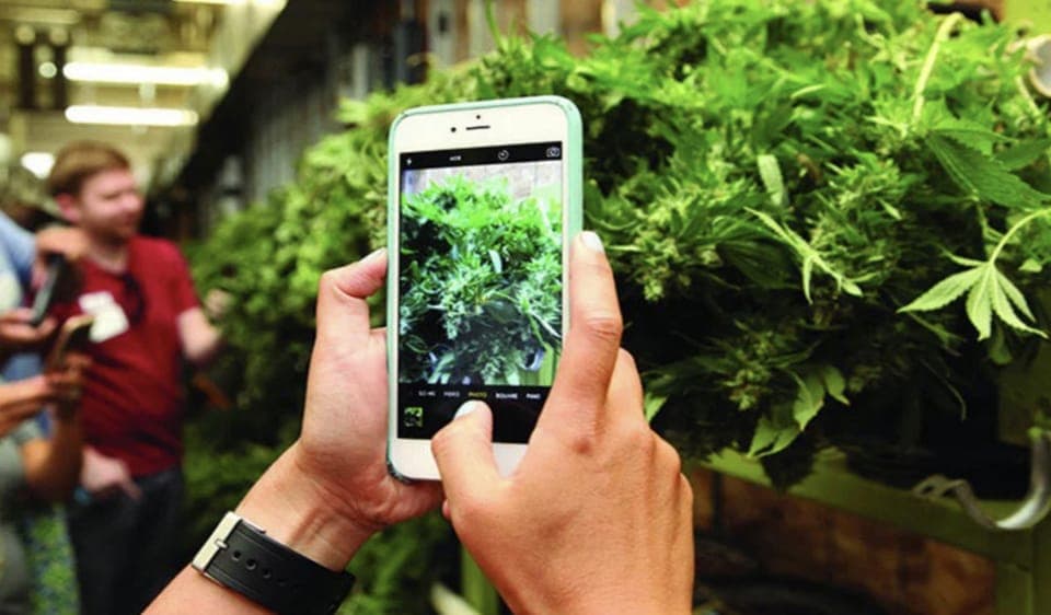 20. Cannabis Tour with Grow Facility Access - Image 20