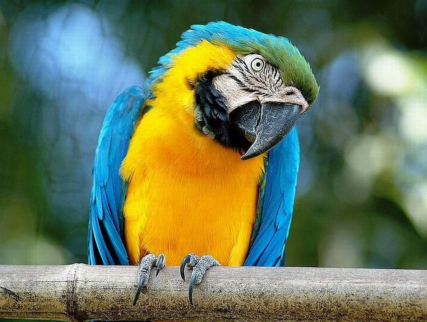 Bioparco di Roma Zoological Garden Entry Ticket Gallery Image 1