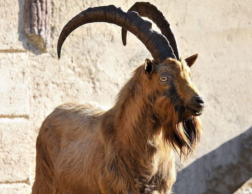 Bioparco di Roma Zoological Garden Entry Ticket Gallery Image 3