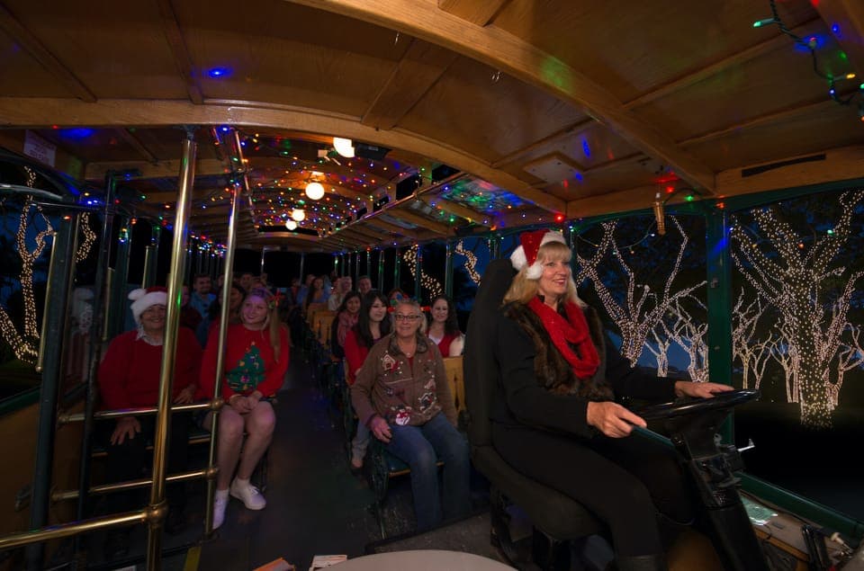 Holiday Sights and Festive Nights Trolley Tour - Image 8