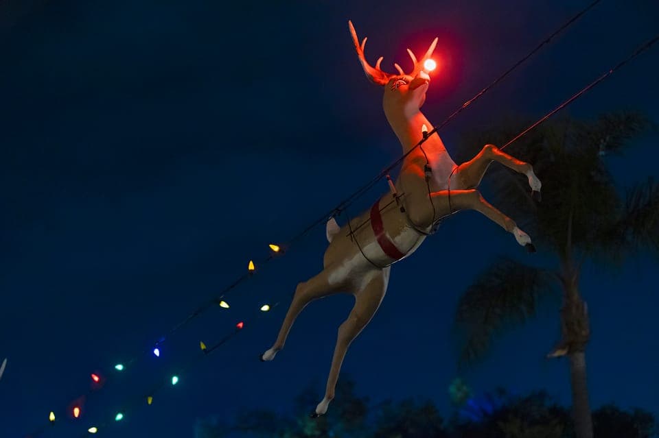 Holiday Sights and Festive Nights Trolley Tour Gallery Image 4