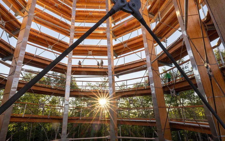 Mont-Tremblant: Treetop Observatory and Self-Guided Walk Gallery Image 2