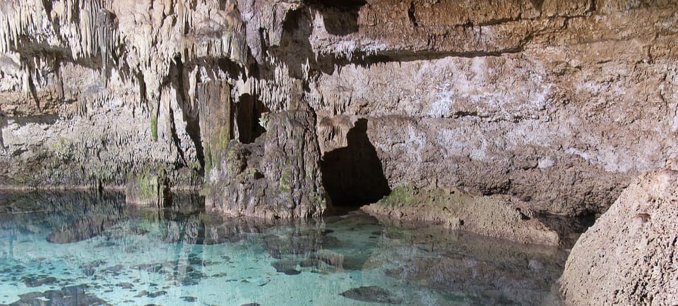 Coba Ruins & Cenote Private Tour Gallery Image 3