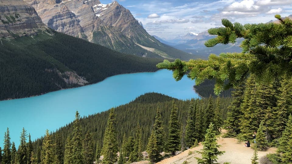 Private Icefields Parkway Tour w/ Lake Louise & Moraine Lake Gallery Image 3