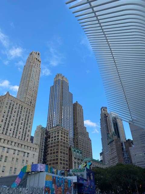 New York | French guided tour Southern Manhattan Gallery Image 4