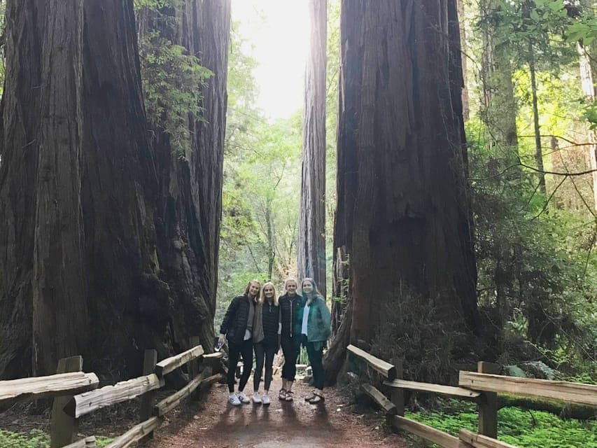 San Francisco Tour to Muir Woods Giant Redwoods & Sausalito - Image 3