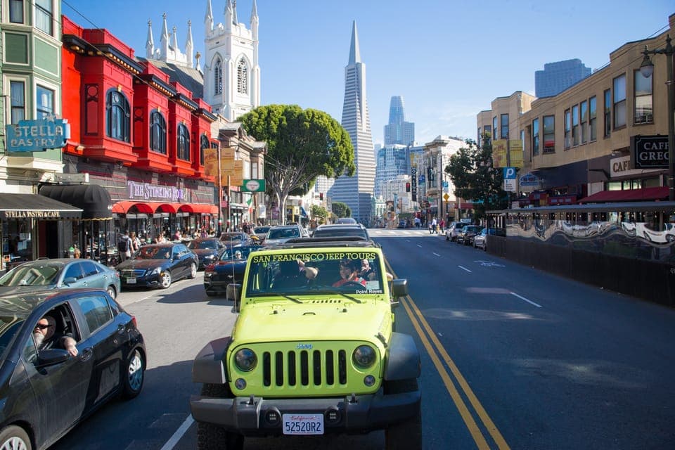 Muir Woods Giant Redwoods & City Private Tour Gallery Image 2