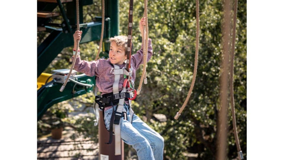 Twisted Trails Zip Rails, Ropes & Climbing Wall Gallery Image 3
