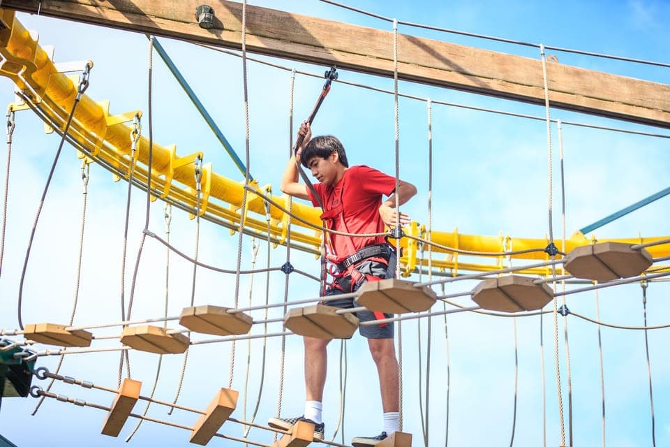 Twisted Trails Zip Rails, Ropes & Climbing Wall Gallery Image 4