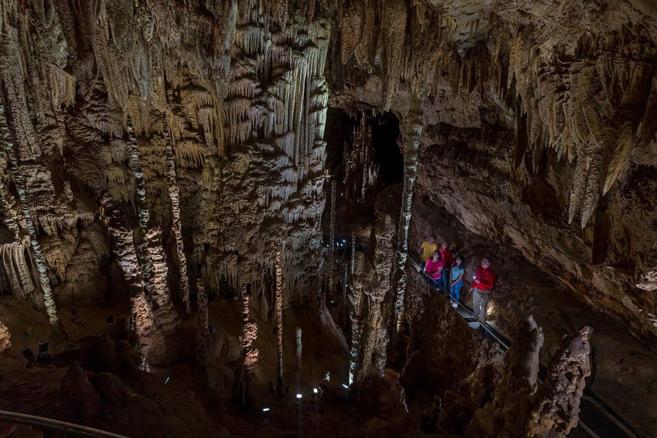 11. Discovery Tour at Natural Bridge Caverns - Image 11