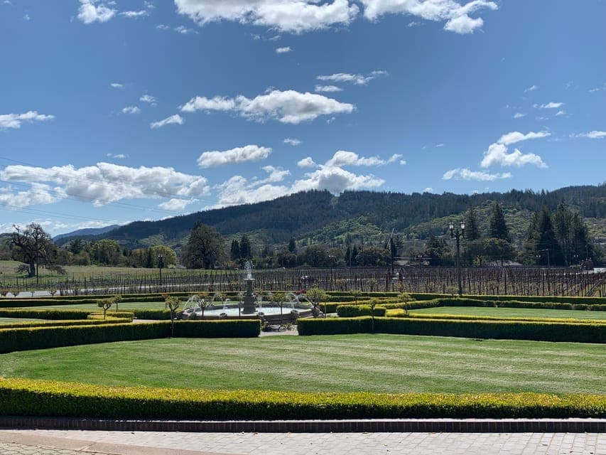 Napa Valley & Sonoma Private Wine Tour Gallery Image 4