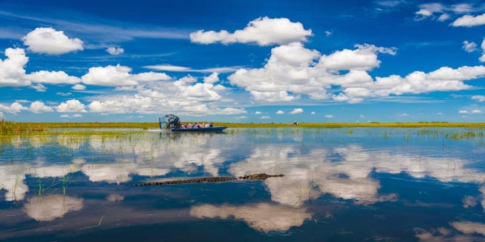 Everglades Express Tour with Airboat Ride Gallery Image 3