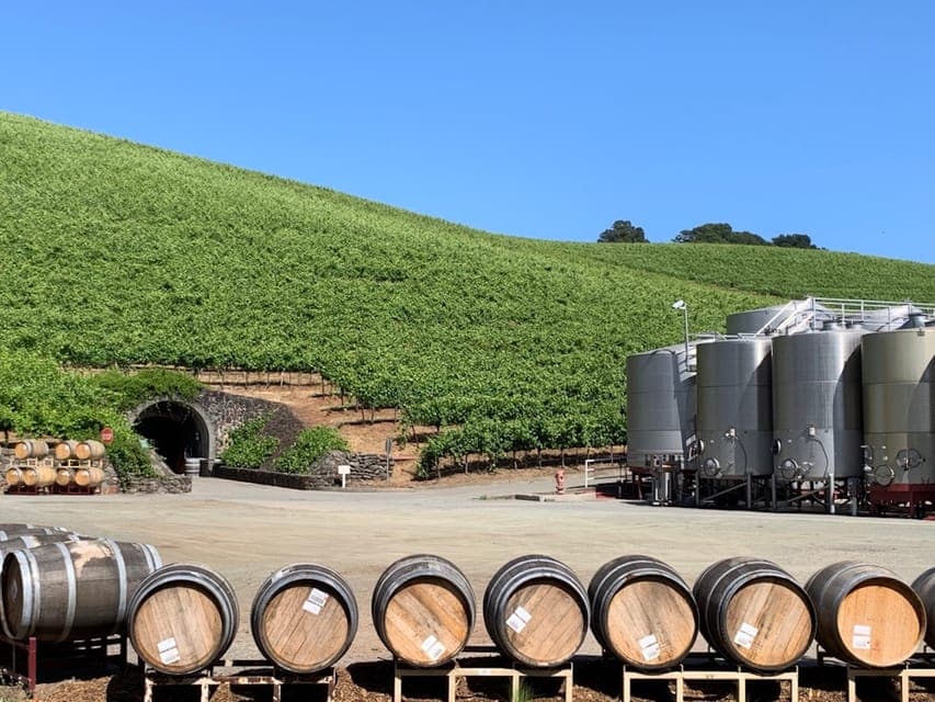 Private Muir Woods and Napa Wine Tour Gallery Image 3