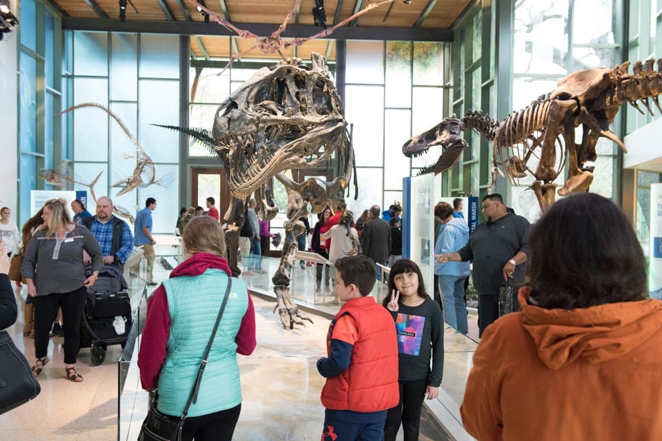 Witte Museum Admission Ticket Gallery Image 4