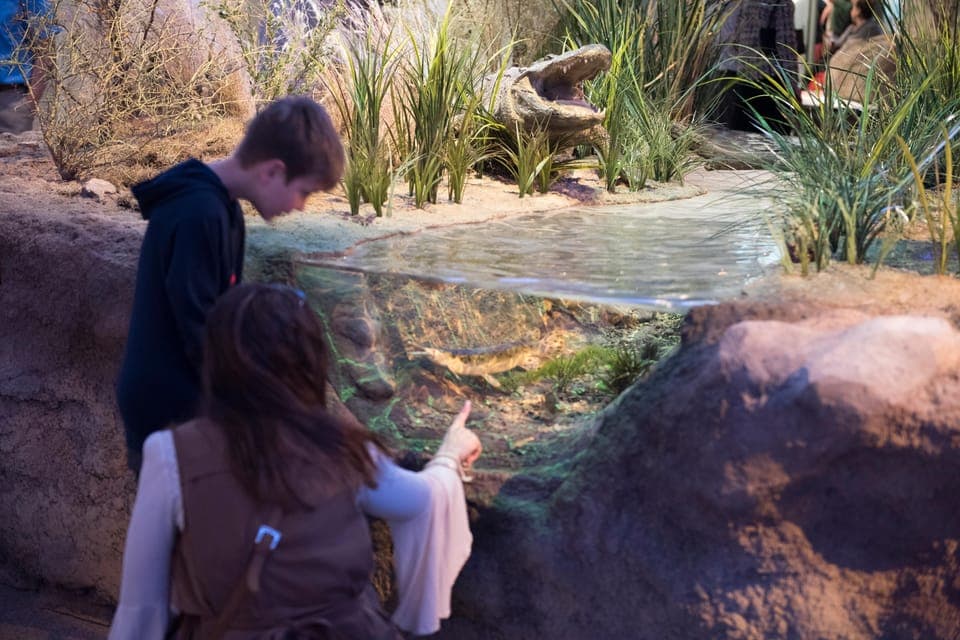 Witte Museum Admission Ticket Gallery Image 3