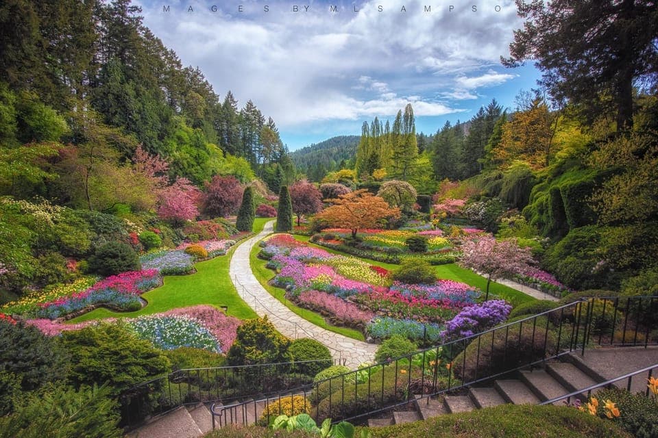 47. Victoria City and Butchart Gardens Tour - Image 47