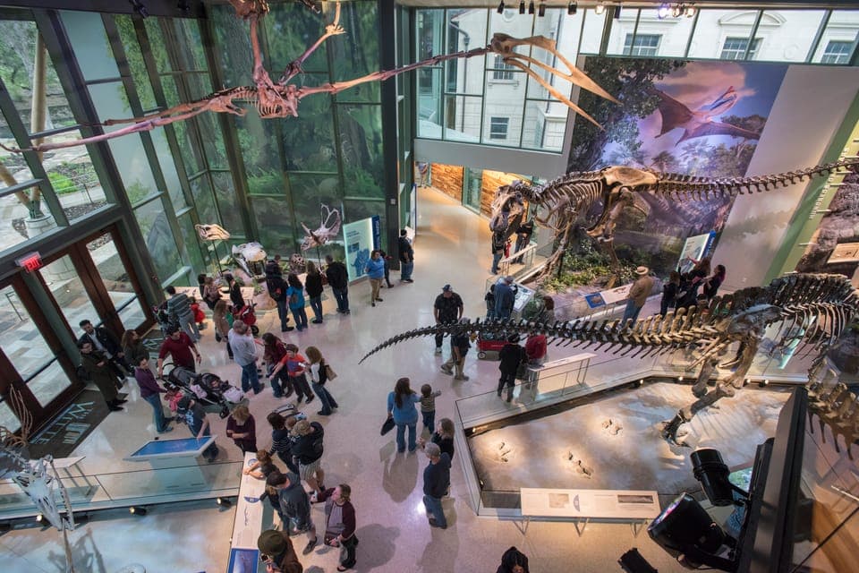 Witte Museum Admission Ticket Gallery Image 1