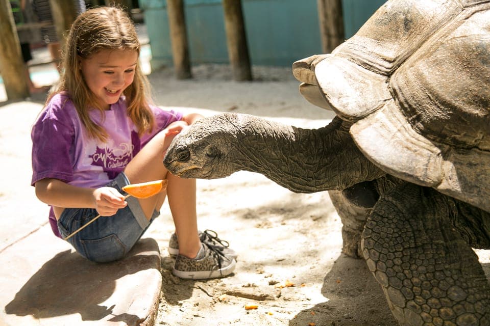 Gatorland Skip-the-Line Ticket Gallery Image 4