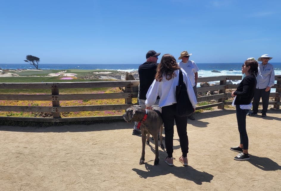 Private Monterey Aquarium 17 Mile Carmel Gallery Image 3