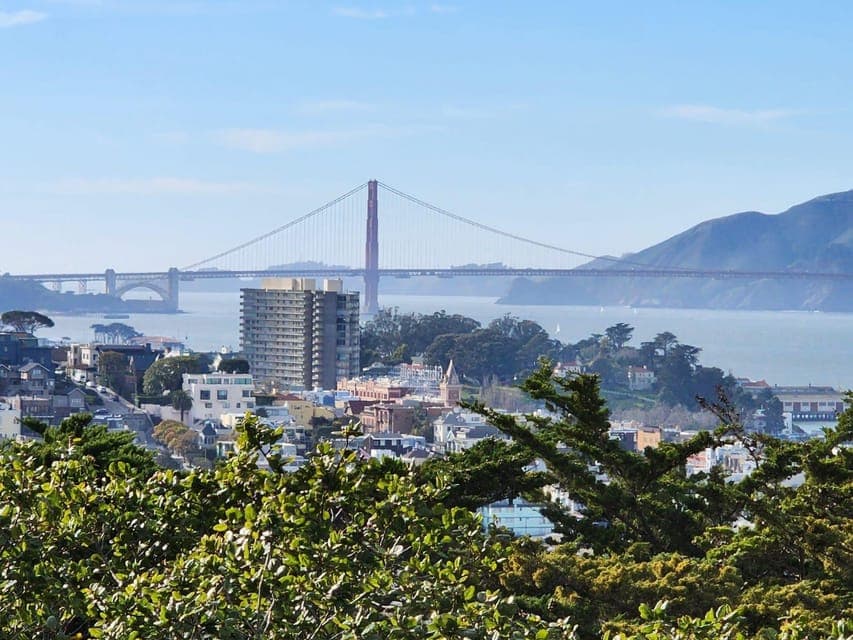 Full-Day City Tour w/ Muir Woods & Sausalito Gallery Image 2
