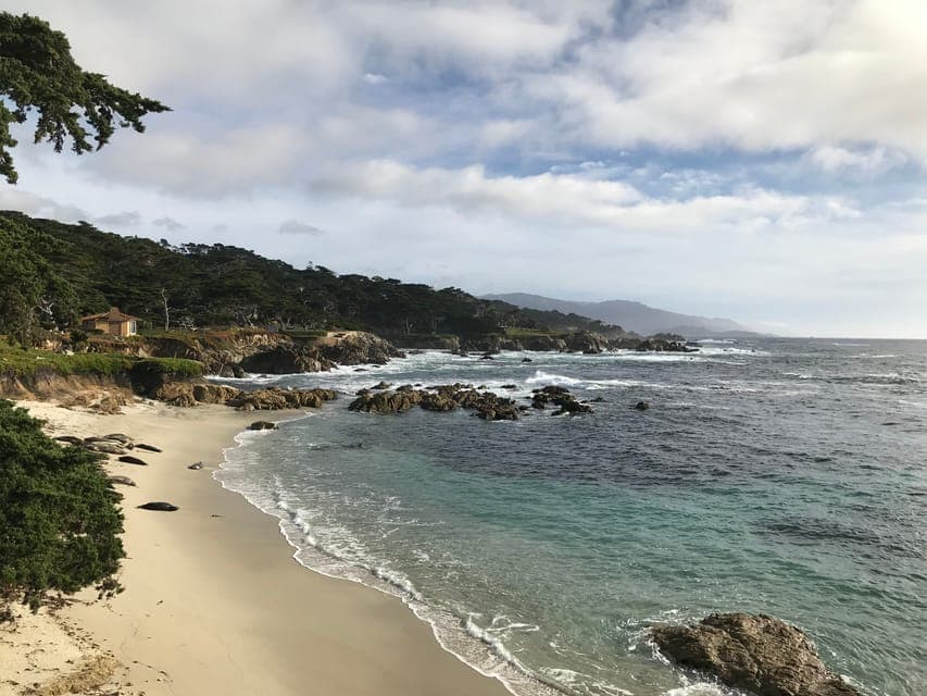 Monterey Peninsula Sightseeing Tour including 17 Mile Drive Gallery Image 3