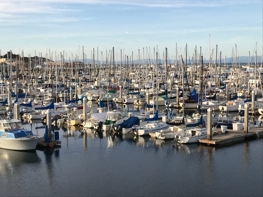 Monterey Peninsula Sightseeing Tour including 17 Mile Drive Gallery Image 4